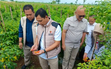 Satgas Pangan Nilai Kondisi Pasar dan Harga Komoditas Aman