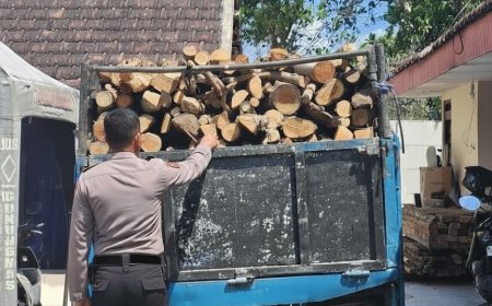 Penindakan Pembalakan Hutan Berhasil Dilakukan Polisi