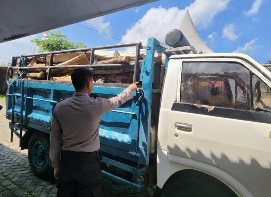 Polisi Amankan Truk Bermuatan Kayu dalam Kasus Pembalakan Hutan
